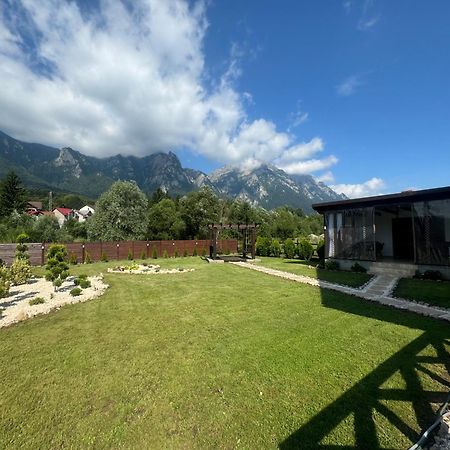 Casuta Doi Ponei Villa Busteni Exterior photo